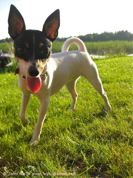 kyllä kesä on ihana!