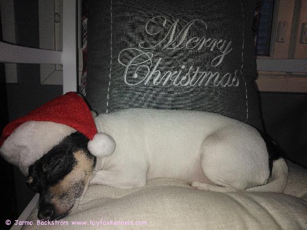 Jouluiset terveiset Donnalta Pirkkalasta