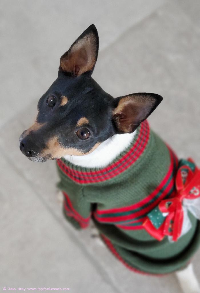 Happy Christmas Jonna to you and your husband with love from Benson!