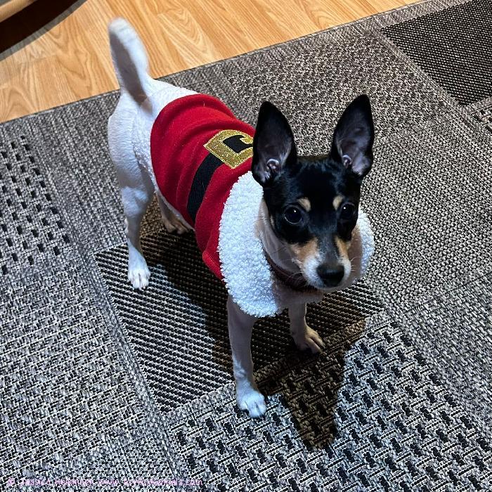 Hyvää joulua, toivoo Zara, Gun-Britt, Jessica & Roger!