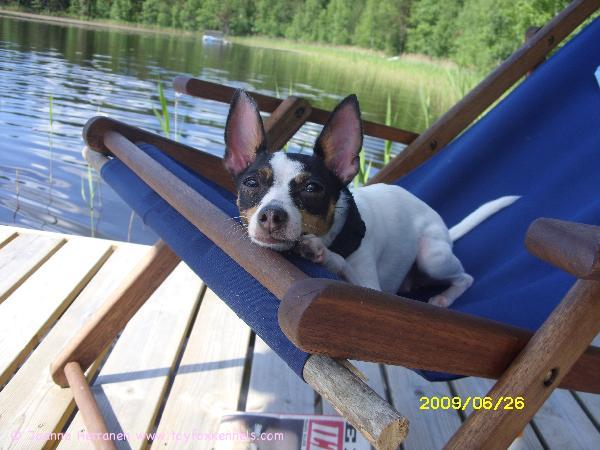 Blanco nauttii kesästä