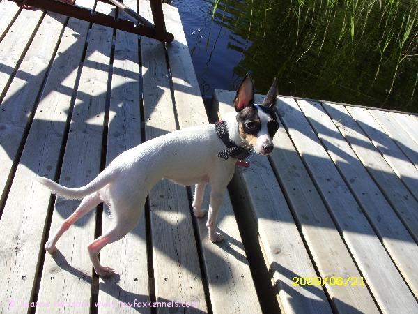 Blanco kotilaiturilla