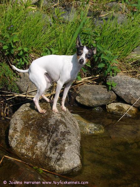 Blanco vilvoittavan uinnin jälkeen.