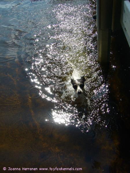 Blanco järvessä - uintityyli on melkoisen roiskiva! :)