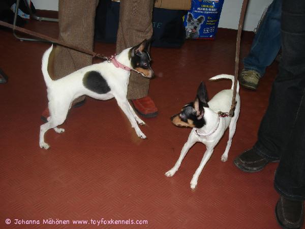 Buffy ja Peppi Kääpiökemuissa 2009