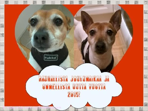 Rauhallista Joulunaikaa ja Onnellista Uuttavuotta toivotellen,
Monkey ja Kaisa perheineen