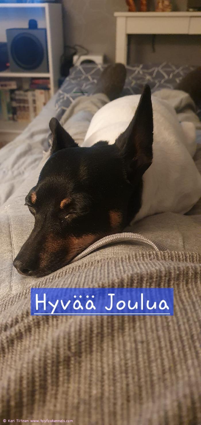 Hyvää Joulua
T: Kari / Cindy