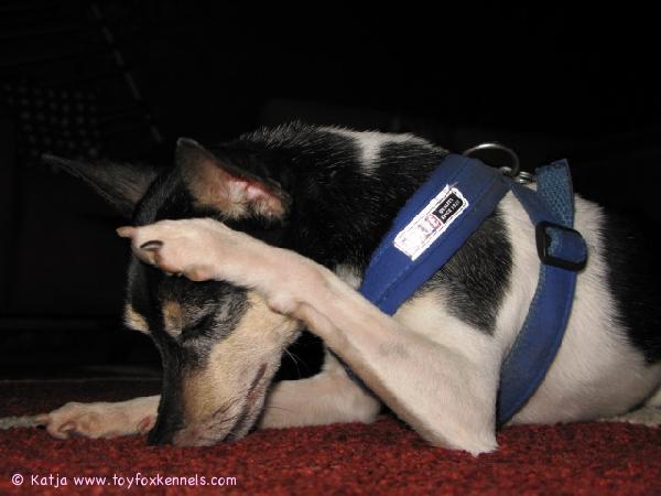 Ettepäs nääkään mua, läl läl lää...