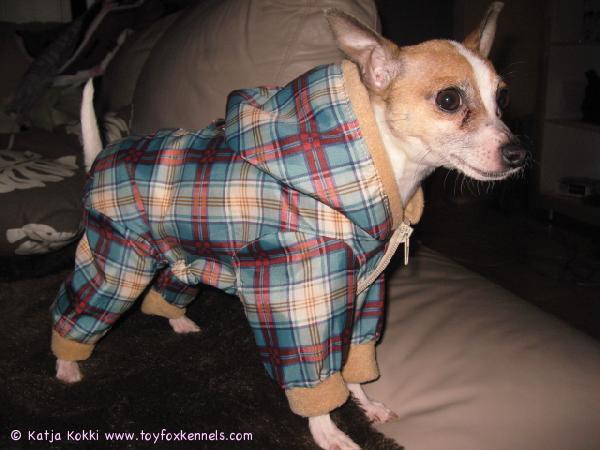 Mocca ja uusi haalari