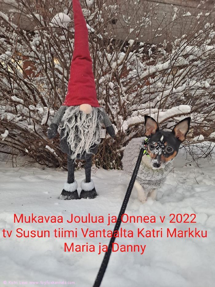 Mukavaa Joulua ja Onnea v 2022!