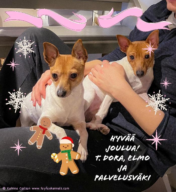 Hyvän joulun toivotus
T. Katrina, Dora, Elmo