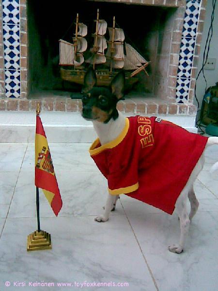 Luna kävi pistämässä Espanjan koiria ojennukseen ja kannusti samalla maan jalkapallojoukkuetta.