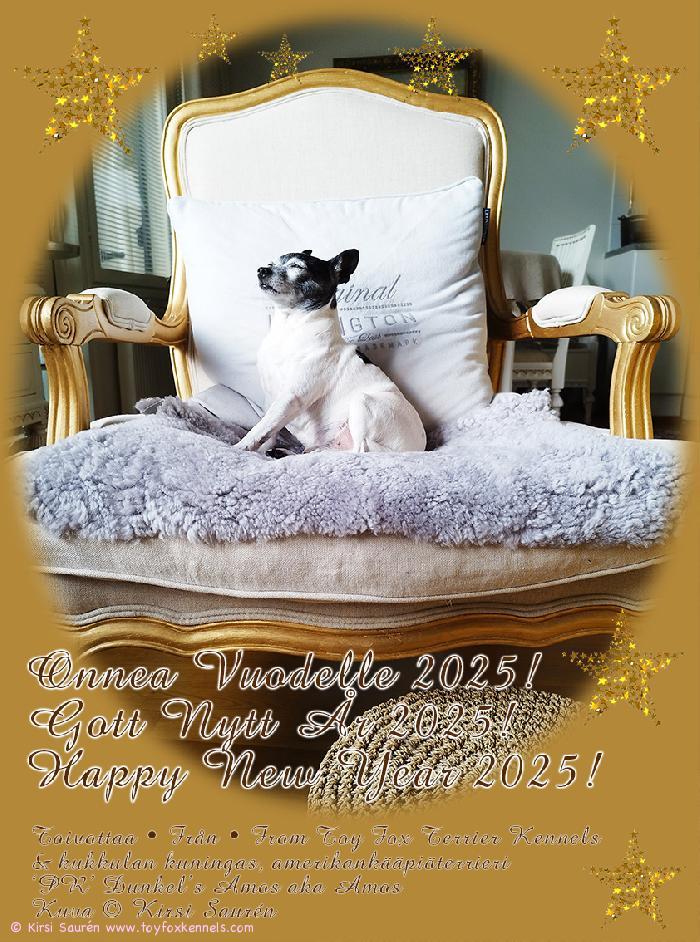 Onnea Vuodelle 2025!
Gott Nytt År 2025!
Happy New Year 2025!

Toivottaa - Från - From Toy Fox Terrier Kennels
& kukkulan kuningas, amerikankääpiöterrieri
‘PR‘ Dunkel‘s Amos aka Amos