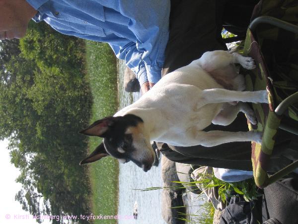 Benjamin retkellä 2008 kesällä. (Kirkkonummi)