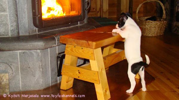 Joulun odotusta - Marvin mökillä.