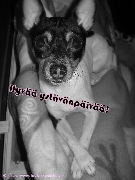 Hyvää ystävän päivää!