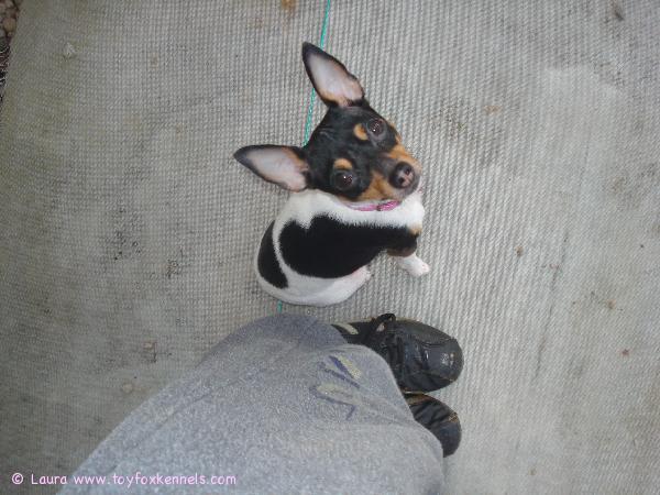 Annen tokoliike: Sivulle