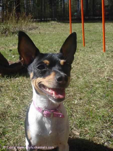 Anne kesäfiiliksissä