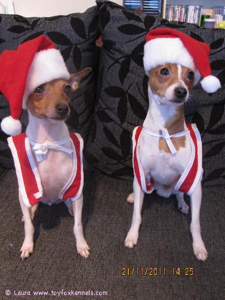 Tontut Inga ja Napo. :)