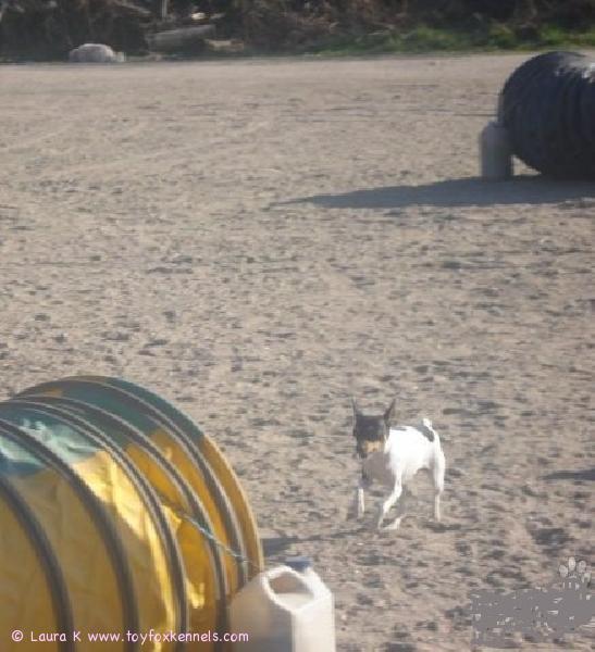 Anne menossa putkeen hurjaa vauhtia