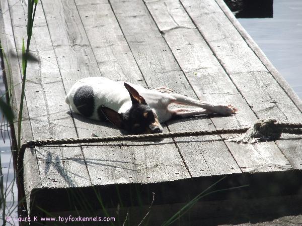 Anne lämmittelee laiturilla