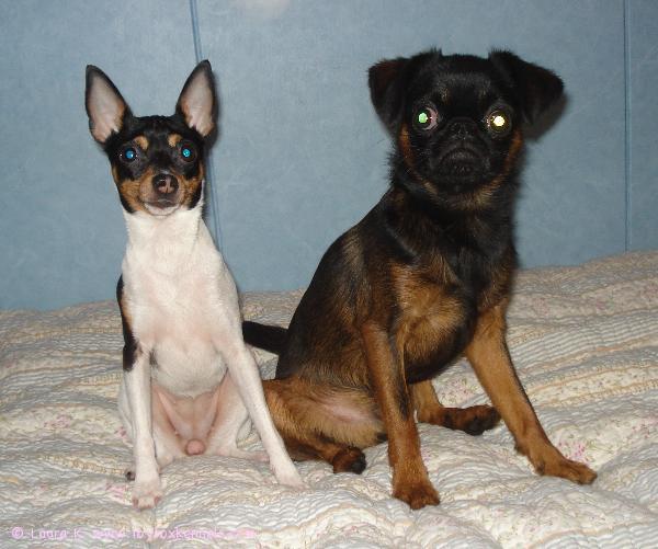 Anne ja kaverinsa Kassu!