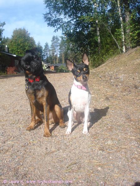 Kassun ja Annen aamupose