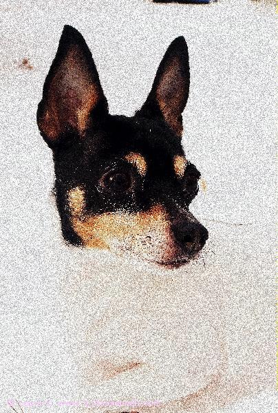 Anne ja ensilumi 31.10.2012