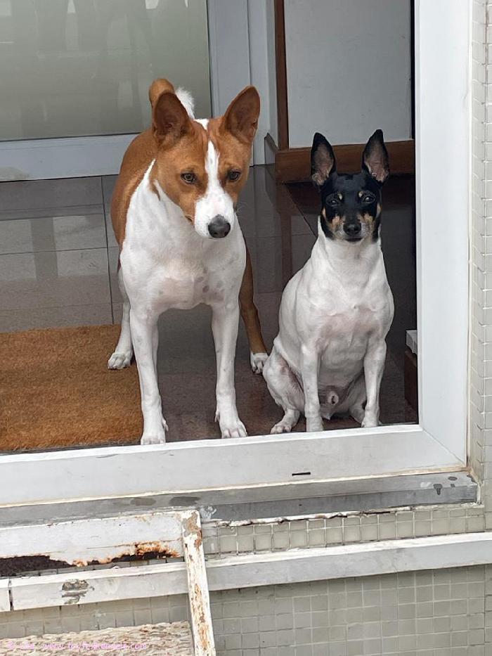 Wishing you all the best for the New Year: a Happy, Healthy, Peaceful and Successful 2023!