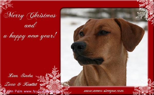 God jul! Merry Christmas :) 