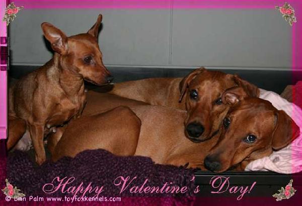 Happy Valentine's Day :)