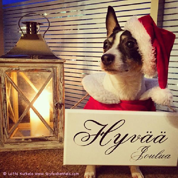 Hyvää Joulua ja Onnellista Uutta vuotta 2015!

Toivottavat 'PR' Dunkel's Butt-Head aka Ted sekä Lotta ja Joni.