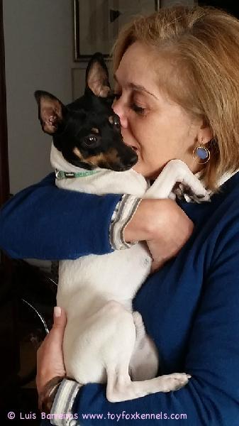 'PR' Dunkel's Peter Cottontail aka Peter uudessa kodissaan Portugalissa!