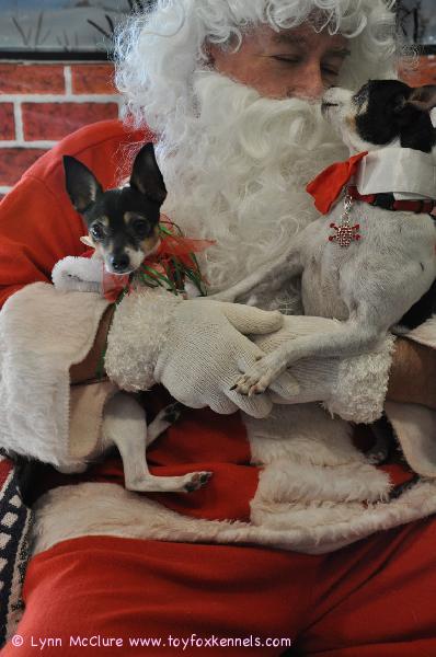 Rottaterrieri Ace antaa joulupukille pusun! Hyvää joulua!