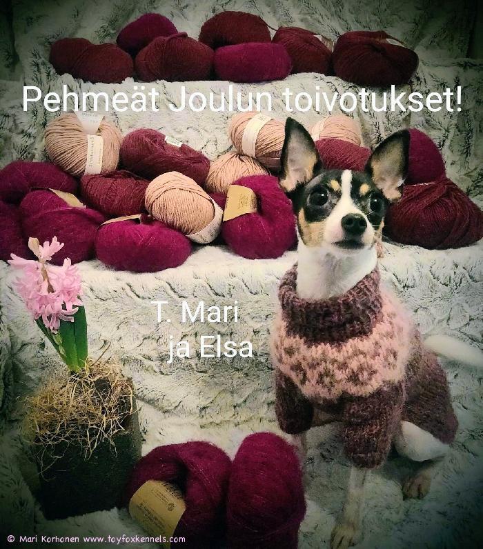Pehmeät Joulun toivotukset! T. Mari ja Elsa