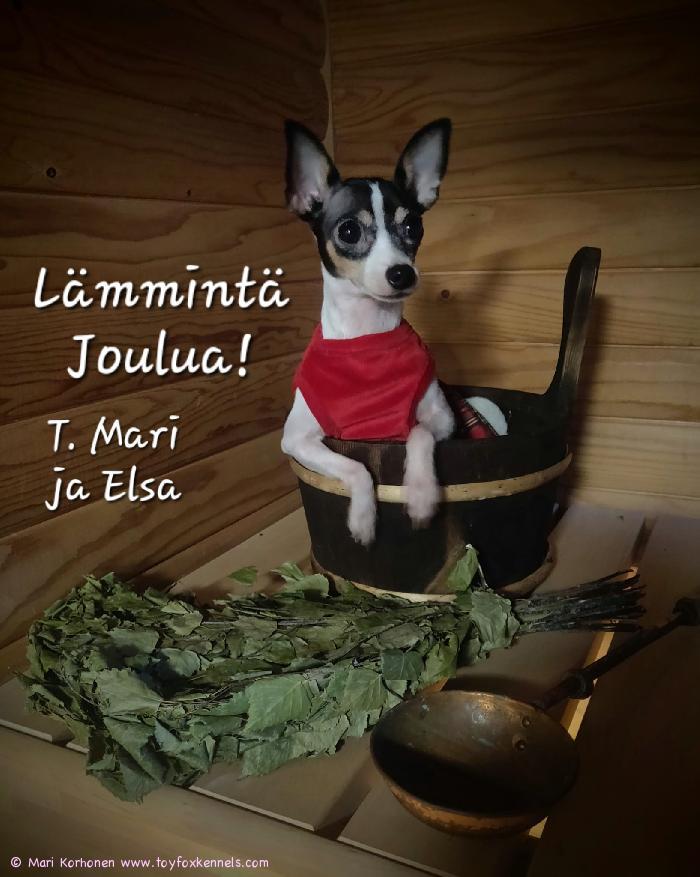 Lämmintä Joulua!
T. Mari ja Elsa