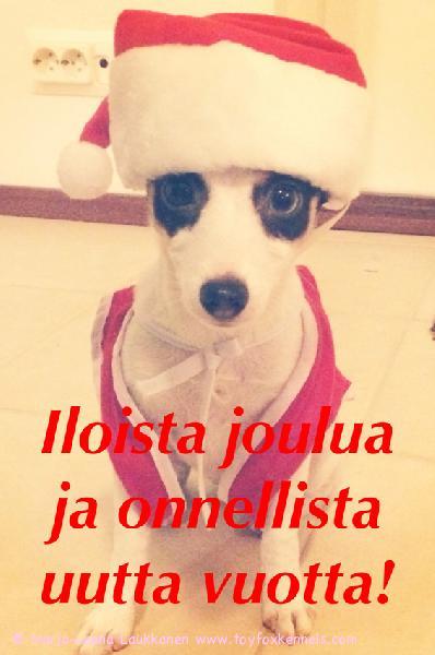 Tintin joulutervehdys!