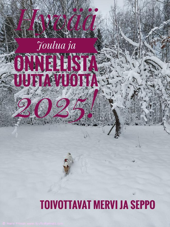 Jouluterveiset Turusta Tenholta ja meiltä!