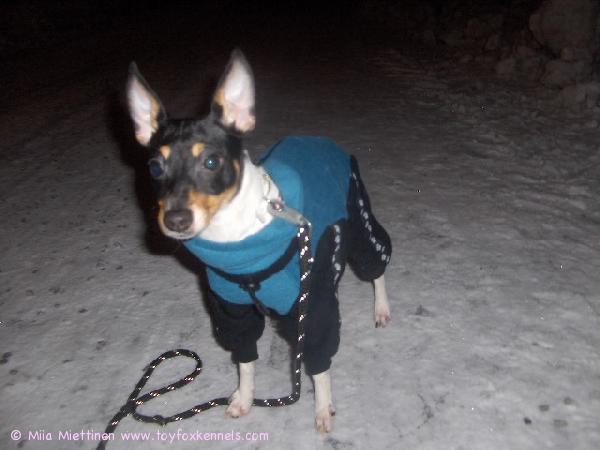 Iineksen uusi toppapuku :)