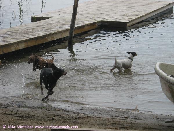 mökillä on kivaa :)