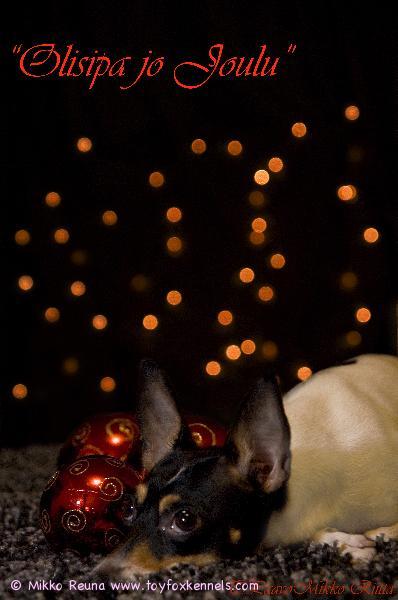 Jouluterveiset Porista!
