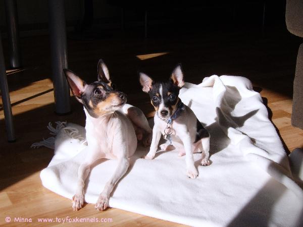 Dali ja Pablo kevätauringossa