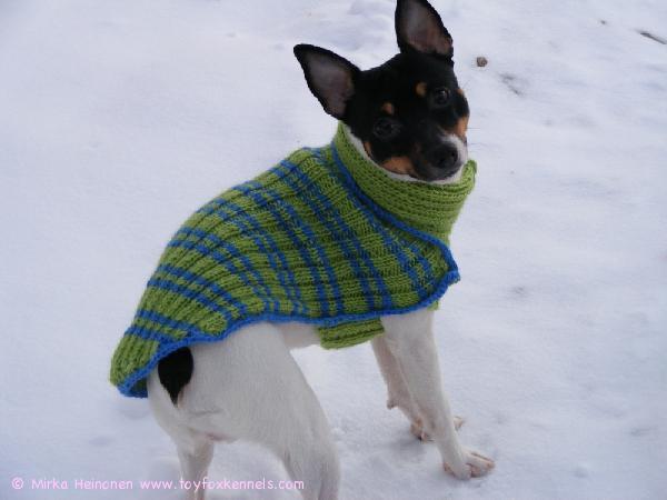 Rai ja uusi svetari.