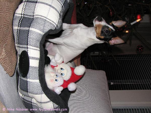 PEPE TOIVOTTAA KAIKILLE HERKULLISTA JA RAUHAISAA JOULUA!