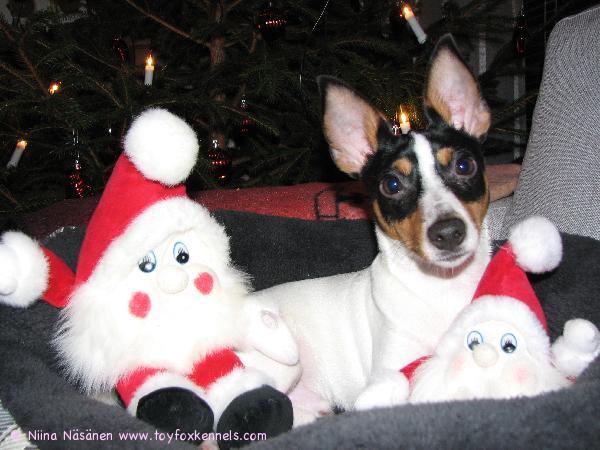 JOULUTERVEISET PEPELTÄ!