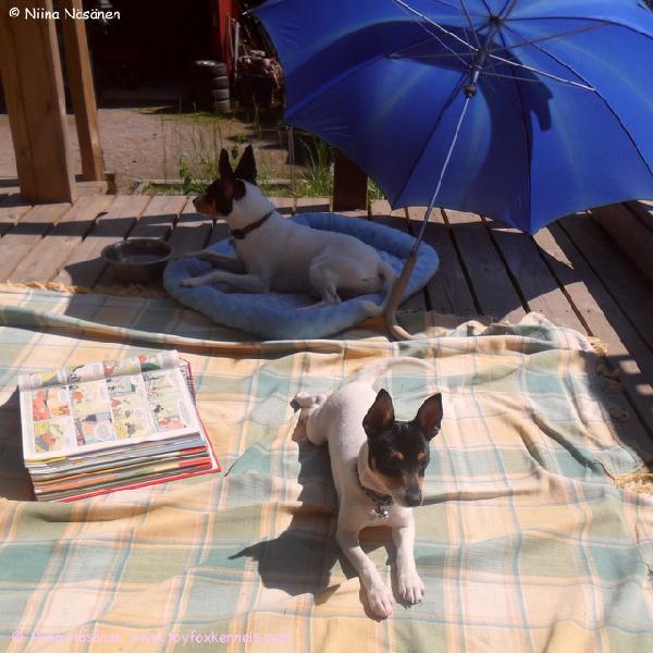 Pepe ja Pate lomatunnelmissa!