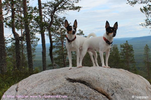 Pepe ja Pate Suomutunturilla