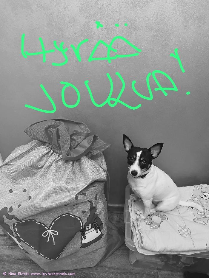 Hyvää Joulua Pimulta!