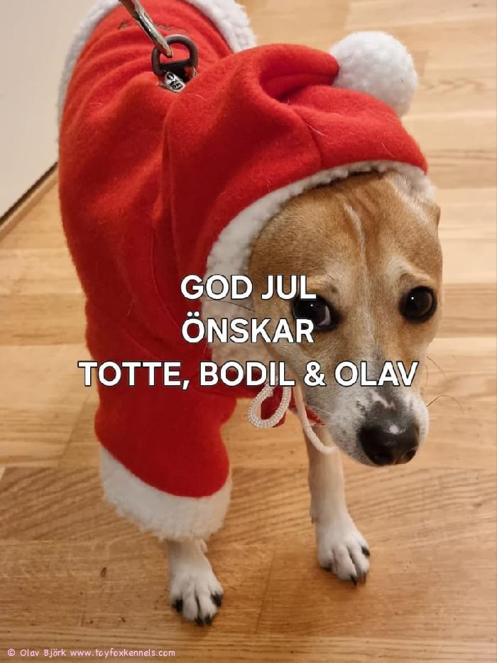 God Jul önskar Totte, Bodil & Olav