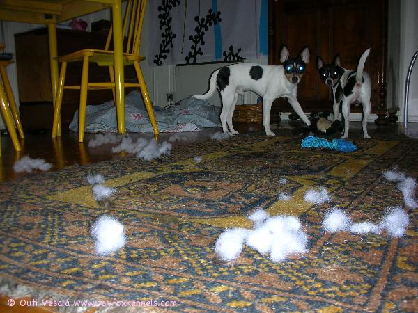 Meidän äijät, Papu ja Pontus, ovat kovia askartelemaan. 